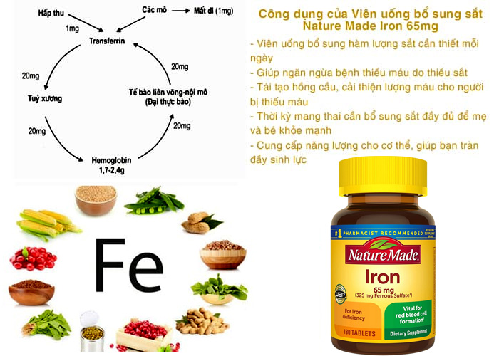 vien uong bo sung sat nature made iron 65 mg 180 vien cua my anh 001